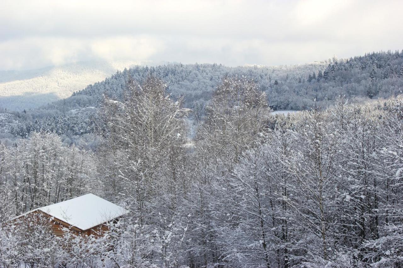 Domaine De Ribeaugoutte Villa Saint-Nabord Eksteriør billede